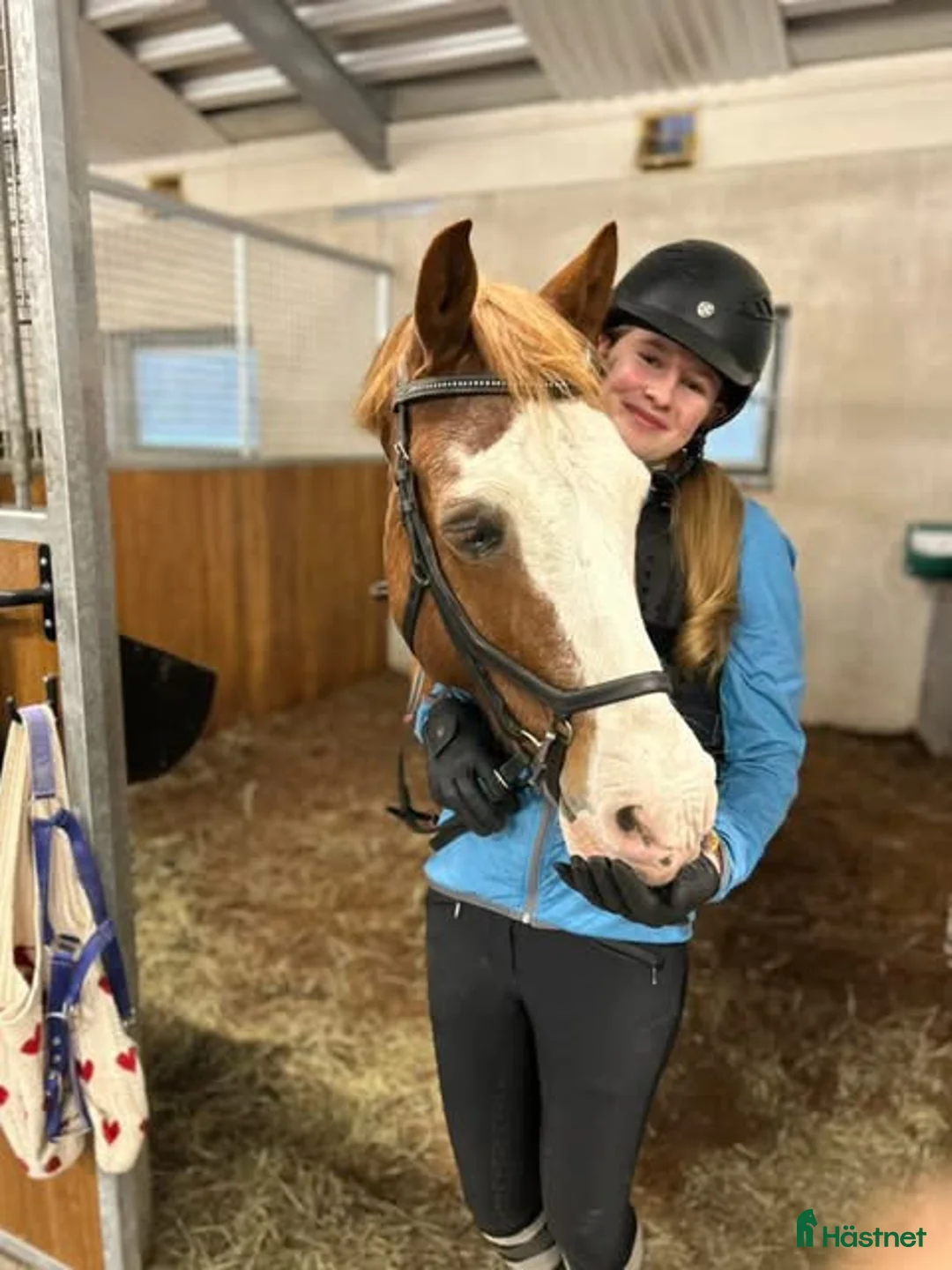  medryttarhäst sökes: Medryttarhäst sökes i Karlstad/ på Hammarö. i Karlstad - Annons 2