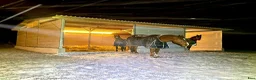  lägenhet till salu: Litet hus på hästgård uthyres - Annons 13