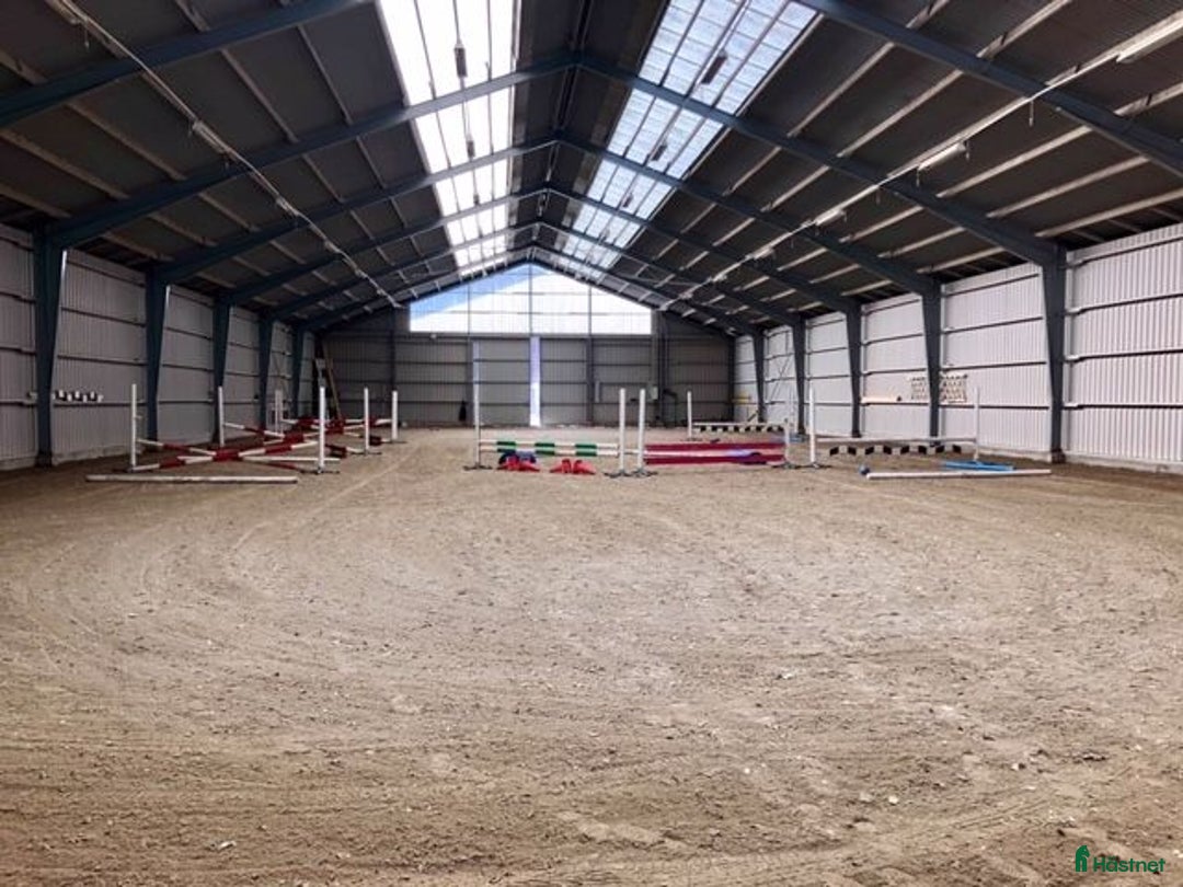  stallplats finnes: Boxplats på Vellinge Väster uthyres i Vellinge - Annons 5