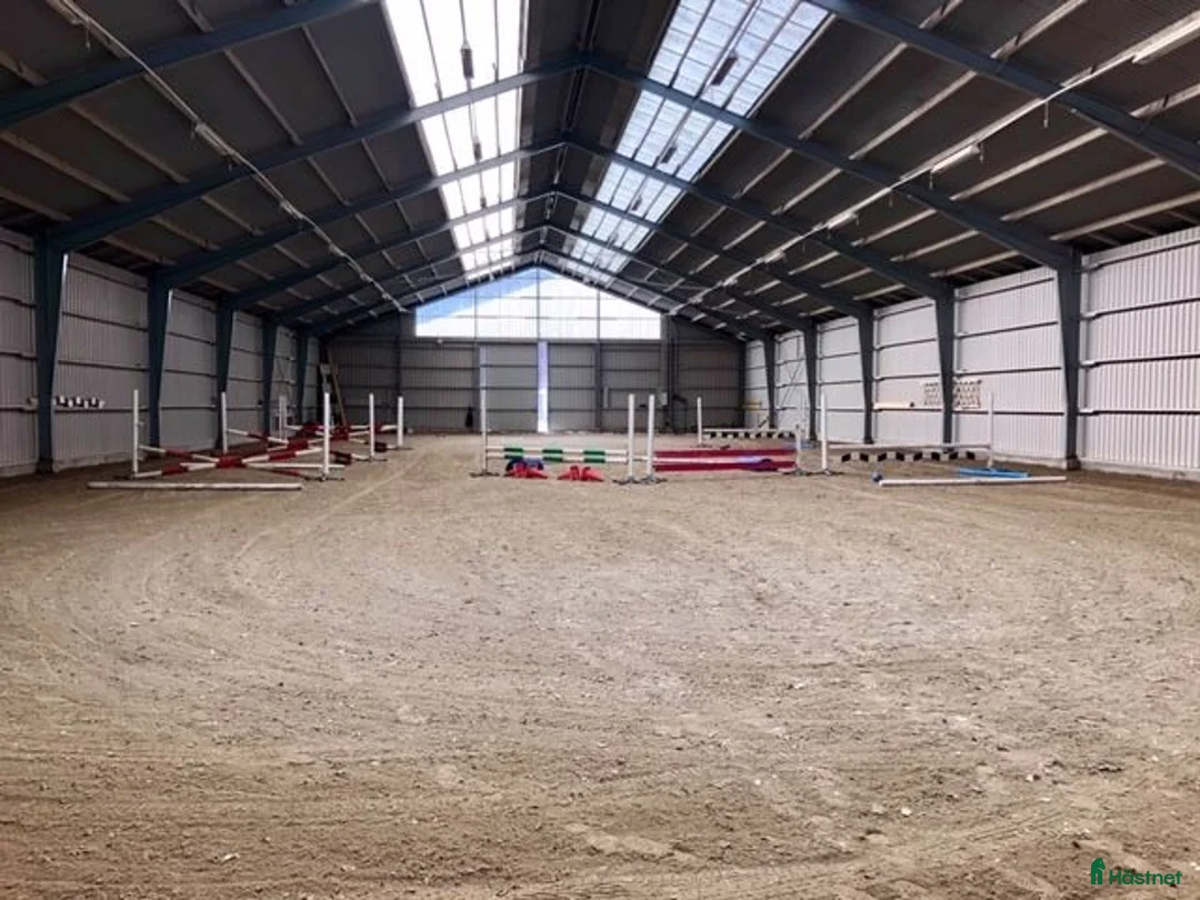  stallplats finnes: Boxplats på Vellinge Väster uthyres i Vellinge - Annons 5