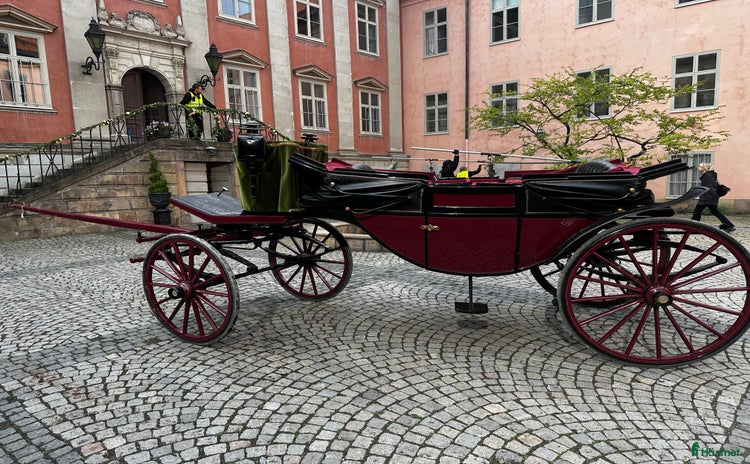 Körvagnar körning till salu i Hägersten - Annons 19