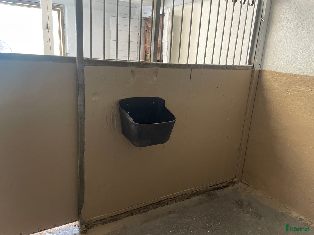  stallplats finnes: Boxplats i mysigt stall för ponny bussförbindelser i Uddevalla - Bild 10