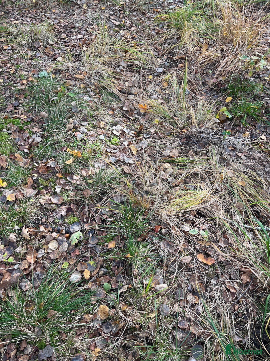  stallplats finnes: Stallplats  i Trollhättan - Annons 1