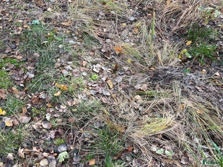 stallplats Stallplats i Trollhättan - Annons 14