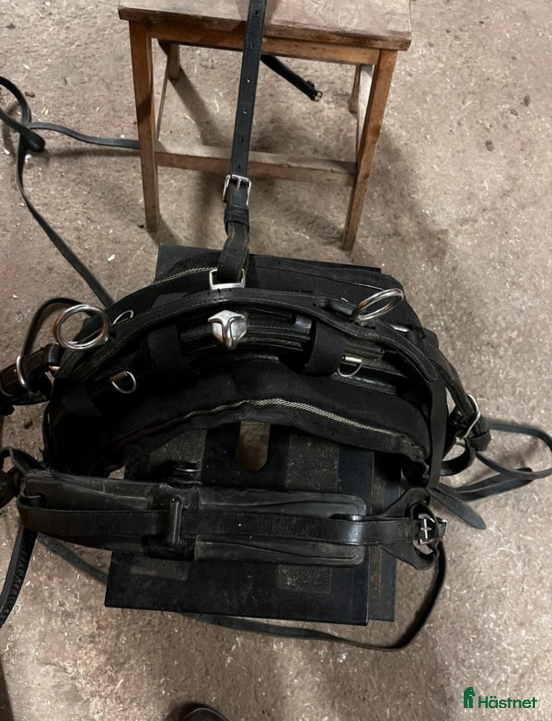 Övrig Hästutrustning hästutrustning till salu: Mycket fin remsele från Tärnsjö i Matfors - Annons 3