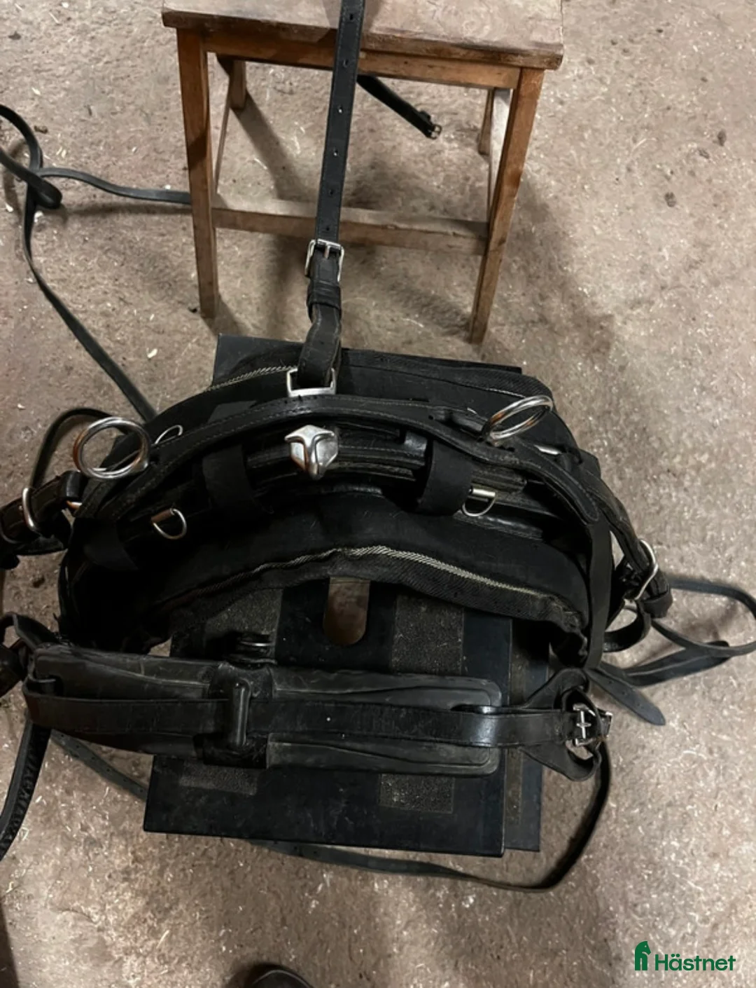 Övrig Hästutrustning hästutrustning till salu: Mycket fin remsele från Tärnsjö i Matfors - Annons 3