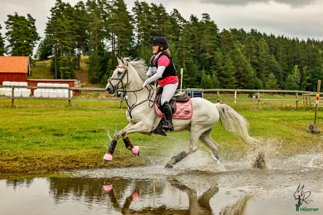 Allround hästar till salu: 🌟Oslipad diamant🌟 i Kinnared - Annons 7