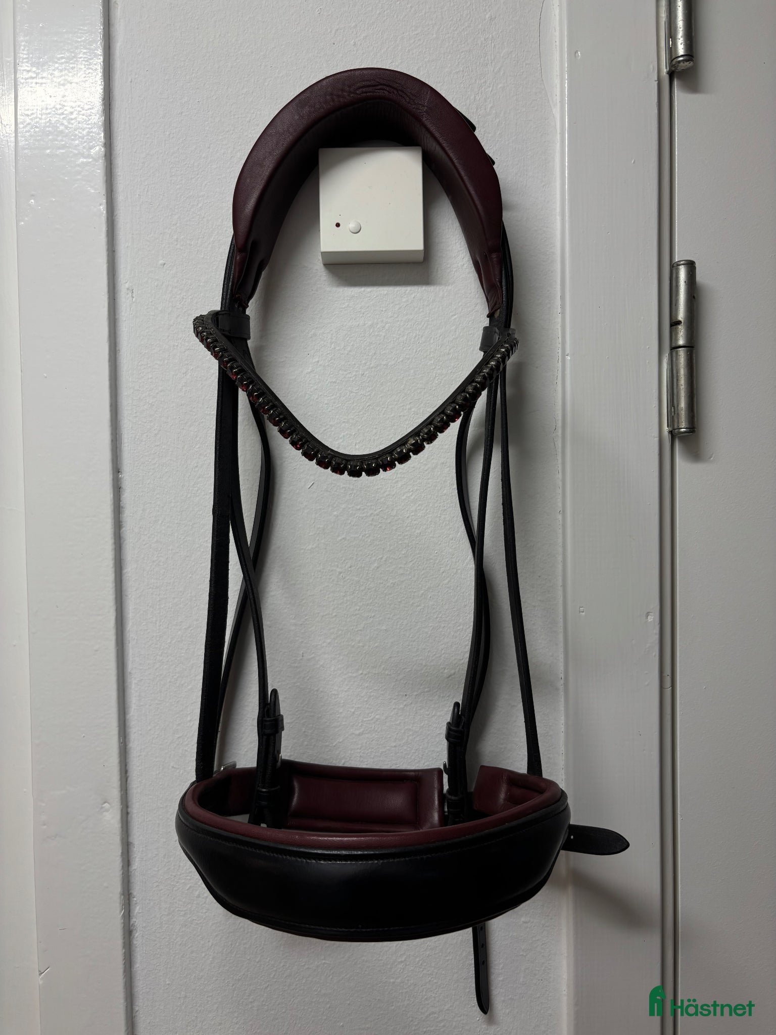 Träns hästutrustning till salu: Dressyrträns från Alequi - Annons 1