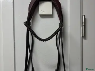 Träns hästutrustning till salu: Dressyrträns från Alequi - Annons 1