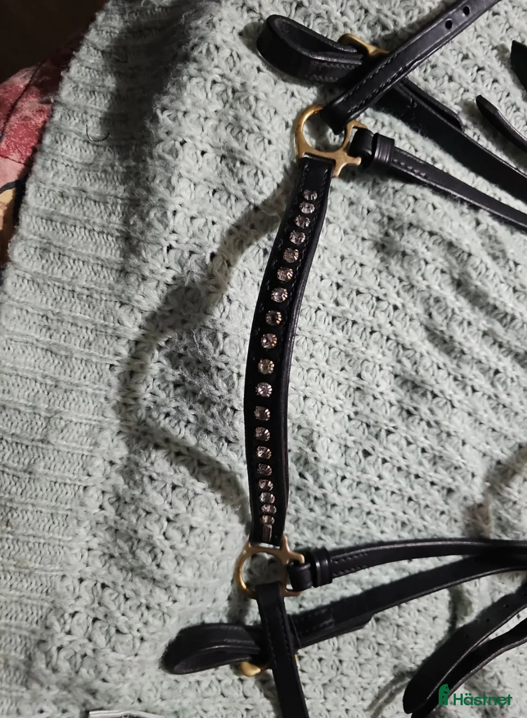 Islandshästutrustning övrig utrustning till salu: Karlslund remont träns - Annons 2