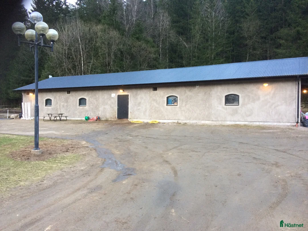  stallplats finnes: Mindre lösdrift i Kinnarumma - Annons 4