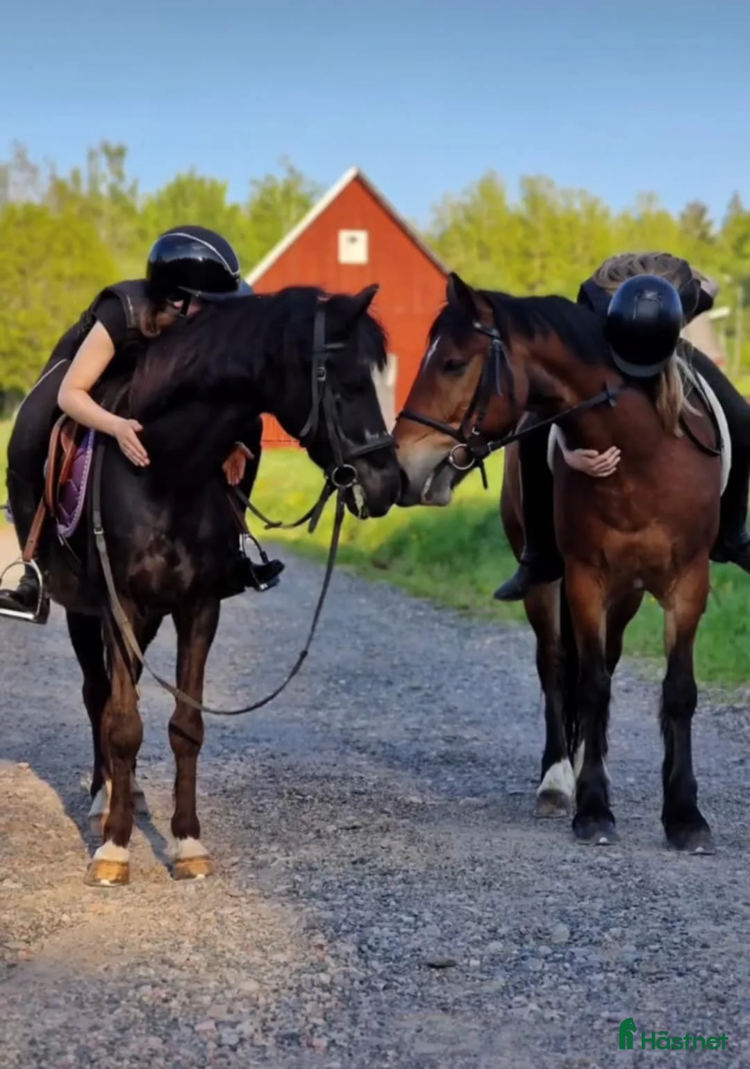  stallplats finnes: Stallplats i Jönköping - Annons 2