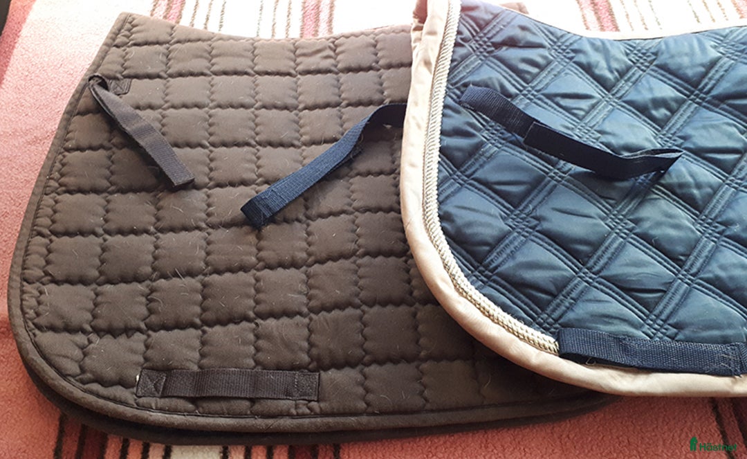 Schabrak & Vojlockar hästutrustning till salu: 2 dressyr-schabrak ponny 50 kr tillsammans i Tomelilla - Annons 2