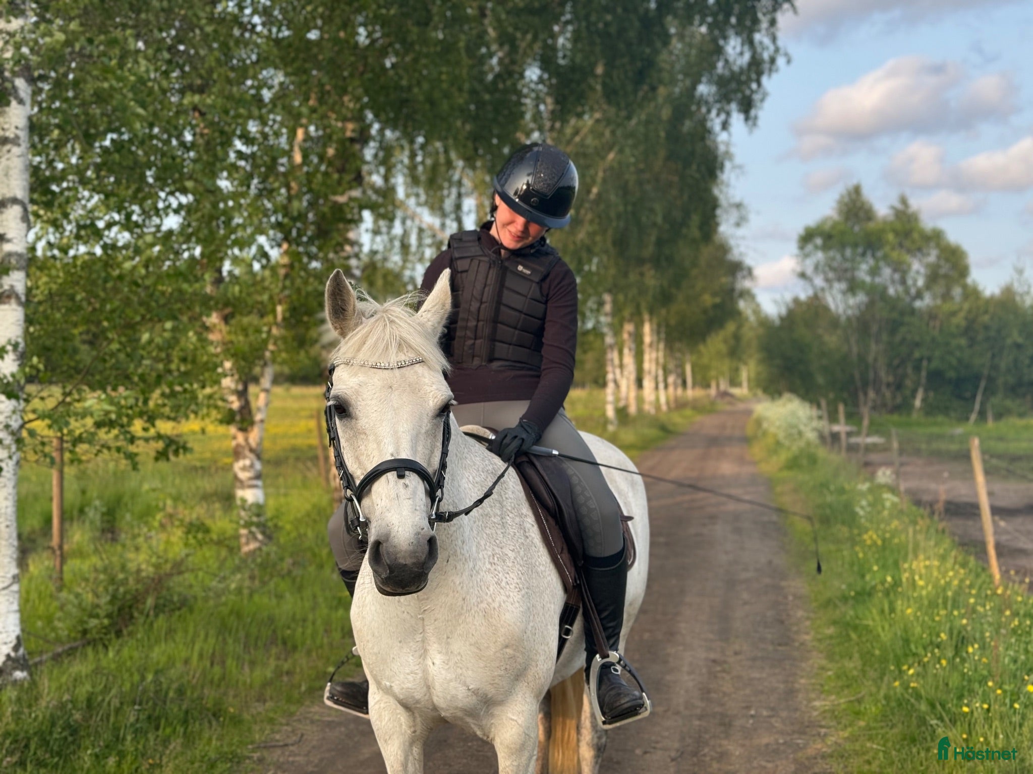  hästar Läromästare, Connemarasto🌸  - Annons 13