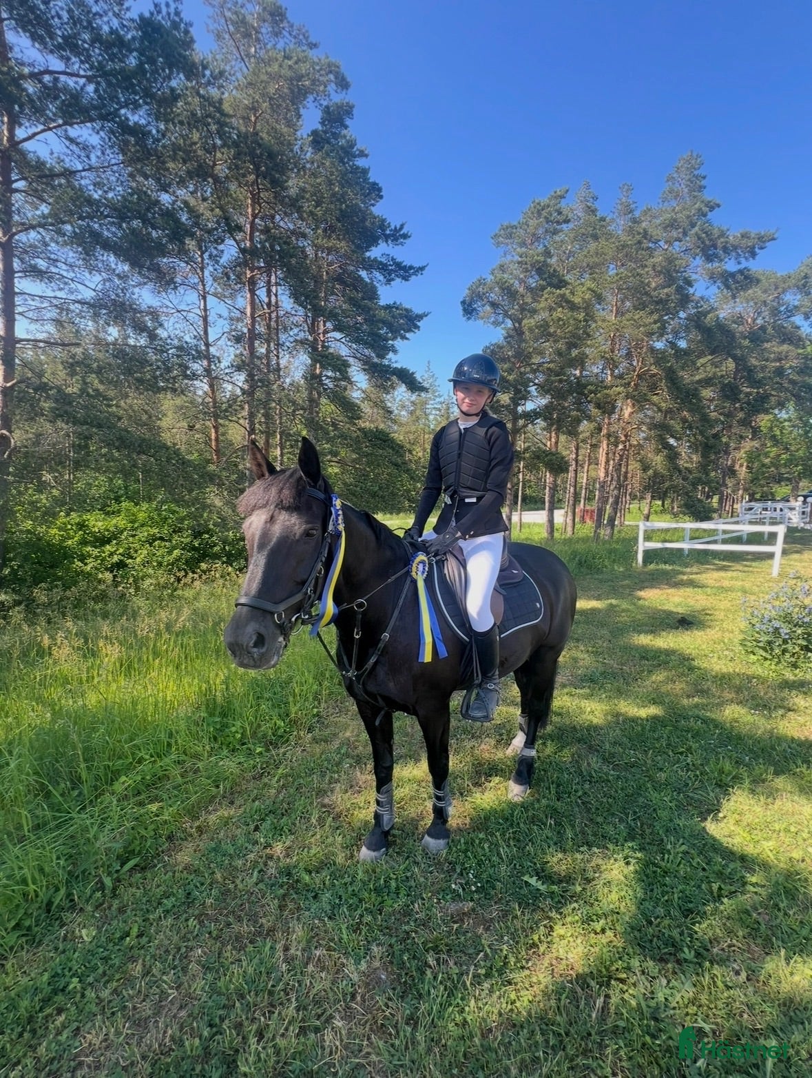  hästar Rutinerad tävlingsponny! - Annons 1
