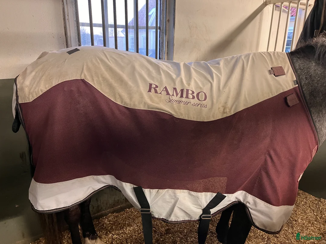 Täcken hästutrustning till salu: Rambo summer series - Annons 2