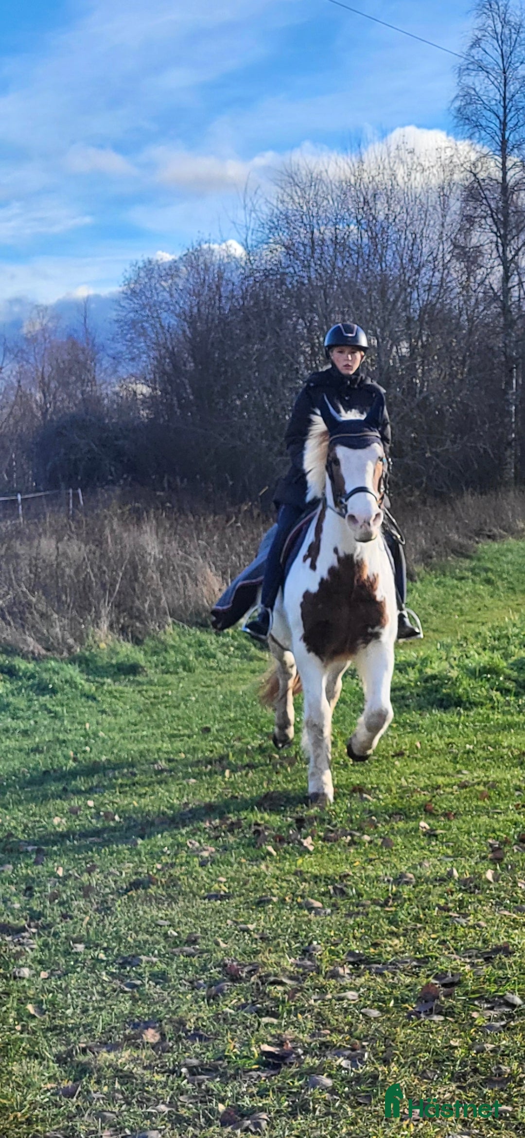 Galleribild {{count}}