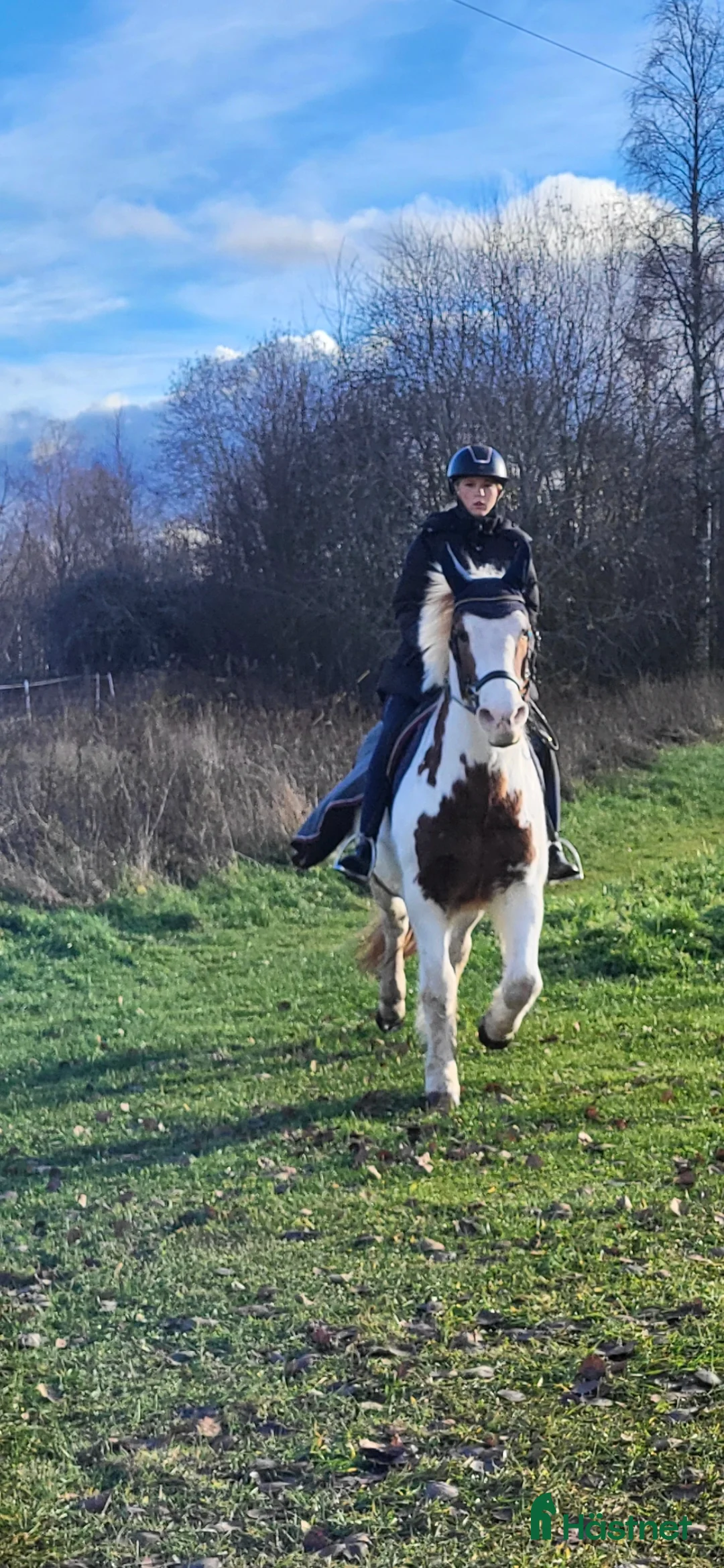 Galleribild {{count}}