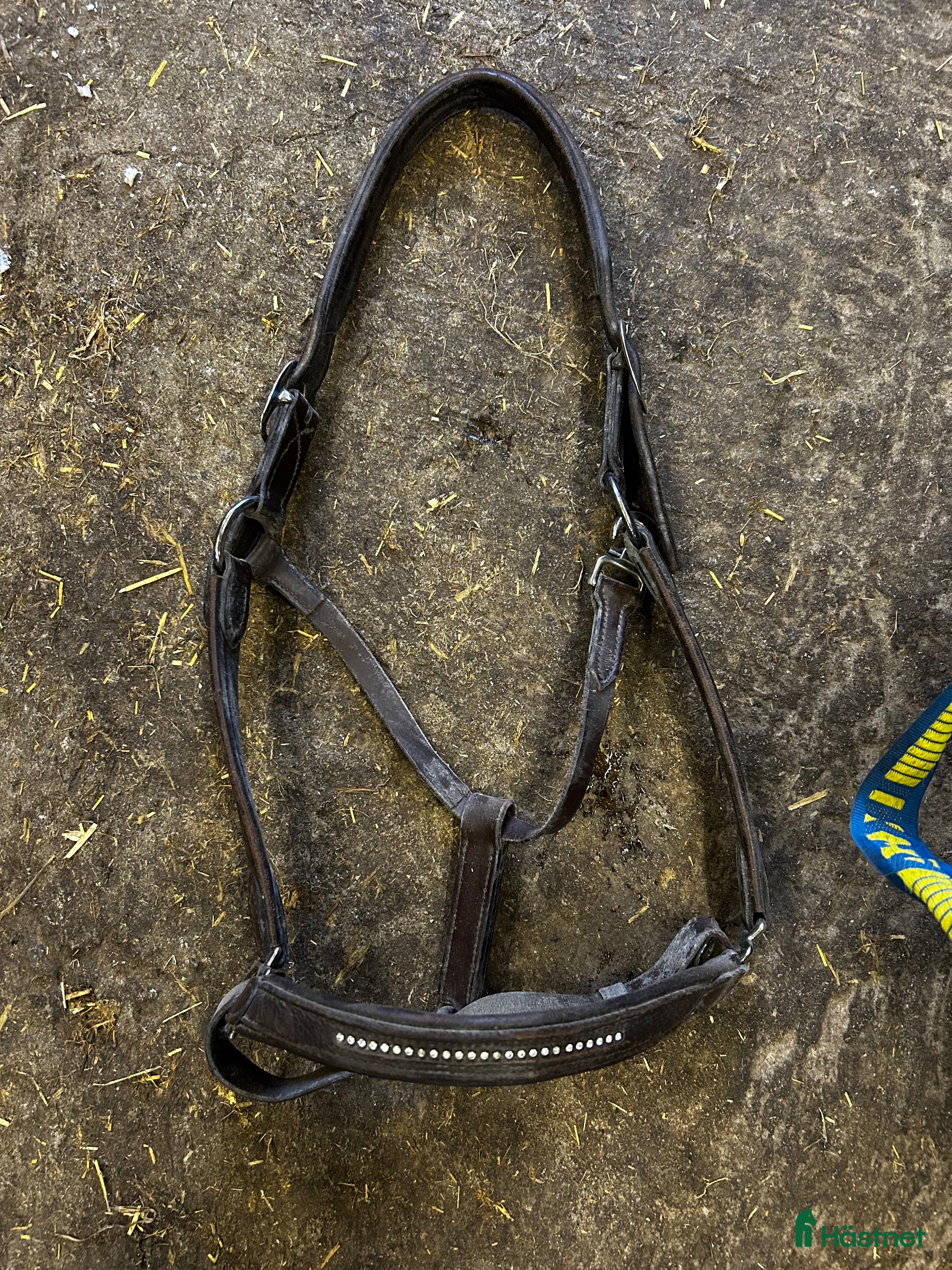 Övrig Hästutrustning hästutrustning Brun lädergrimma strl full - Annons 18