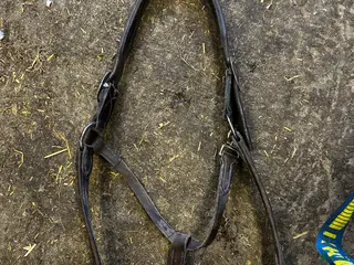 Övrig Hästutrustning hästutrustning Brun lädergrimma strl full - Annons 18