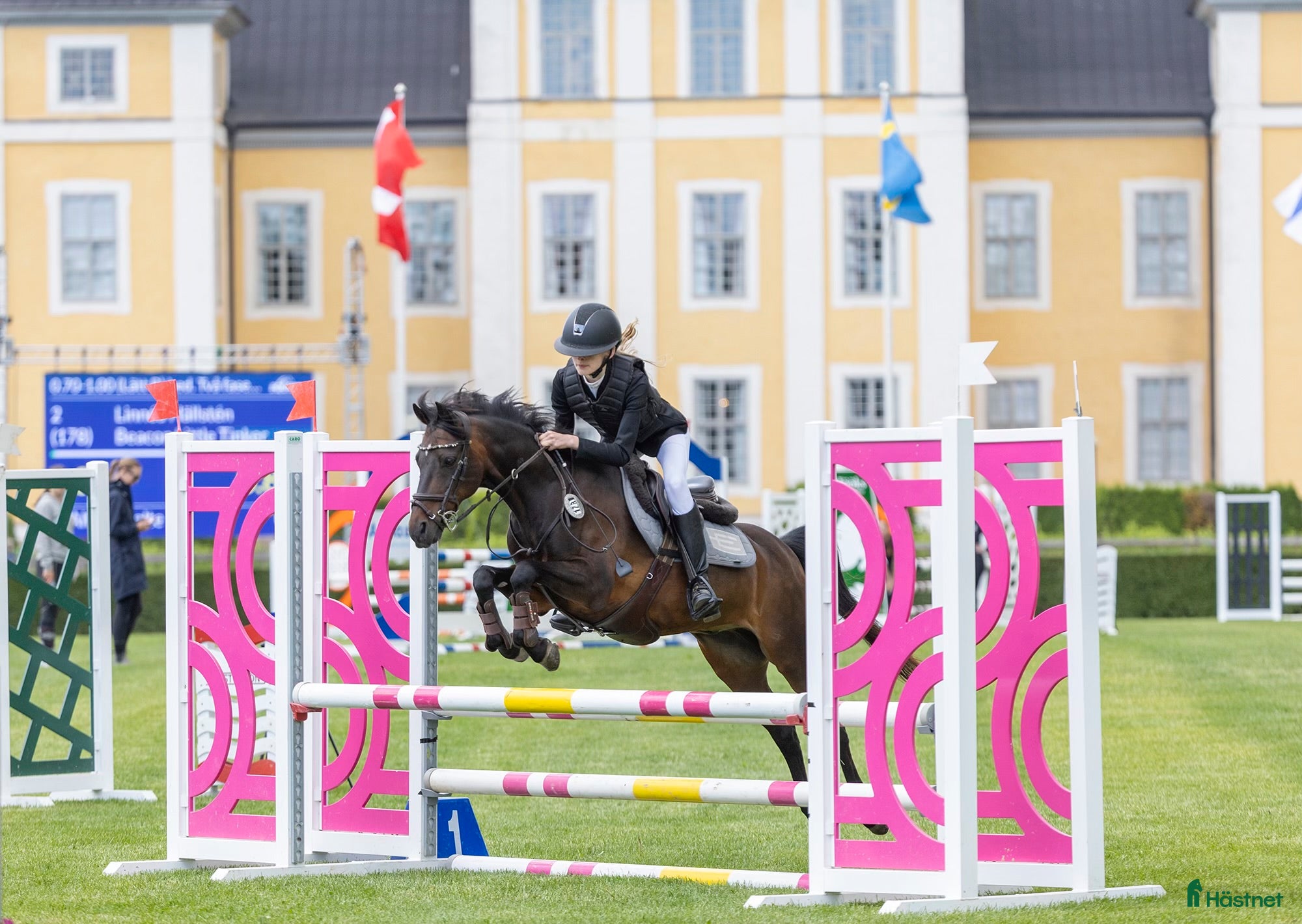  hästar Snäll läromästare  i Upplands Väsby - Annons 3