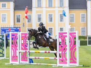 hästar Snäll läromästare i Upplands Väsby - Annons 3