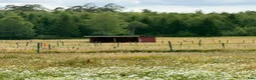  stallplats finnes: Ny lösdrift med tillgång till ridhus  - Annons 4