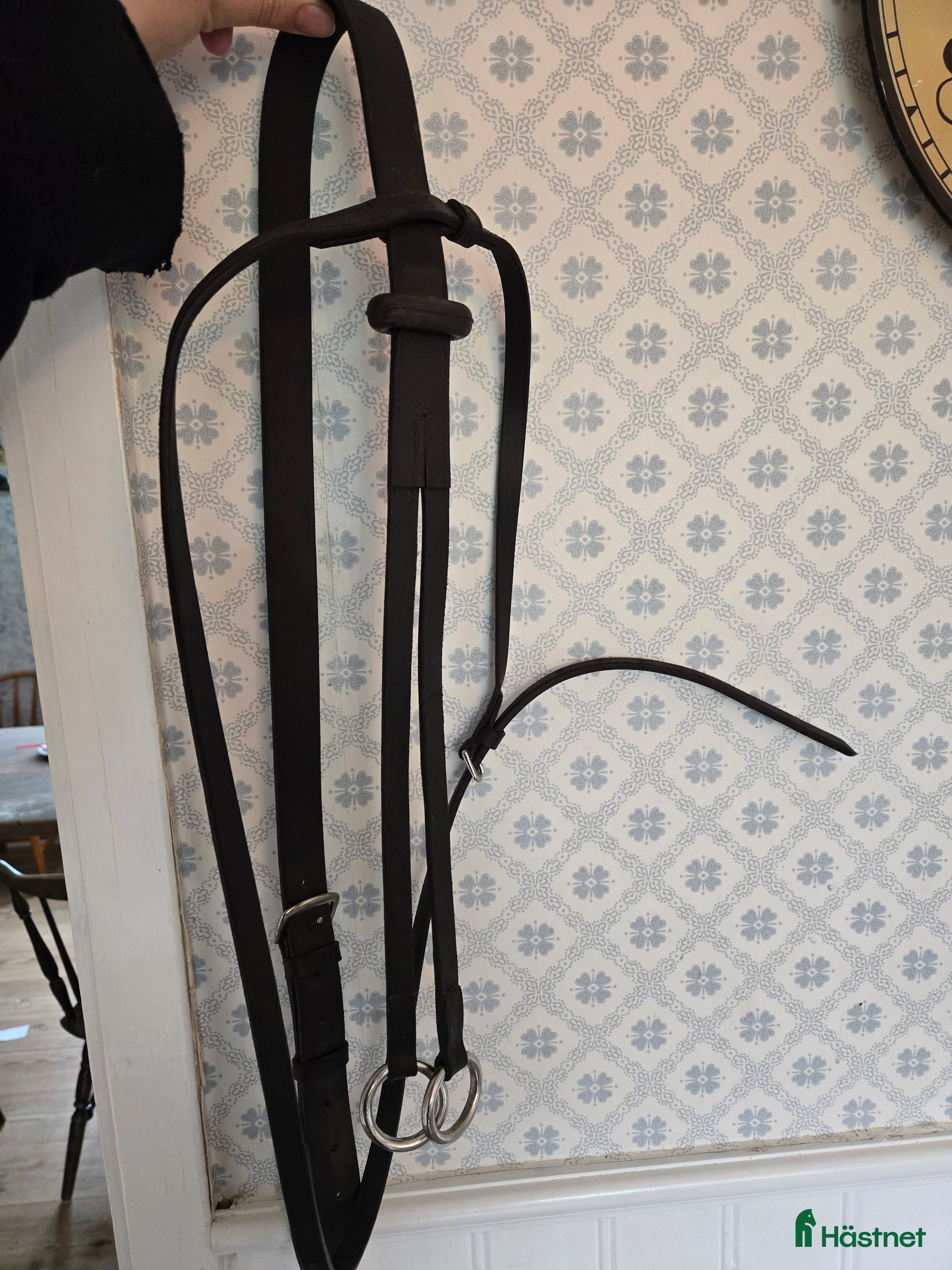 Träns hästutrustning Martingall i nytt skick  i Tidaholm - Annons 22