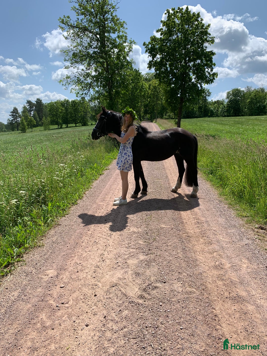 Allround hästar till salu: Viktbärande maxad cponny i Tranås - Annons 3