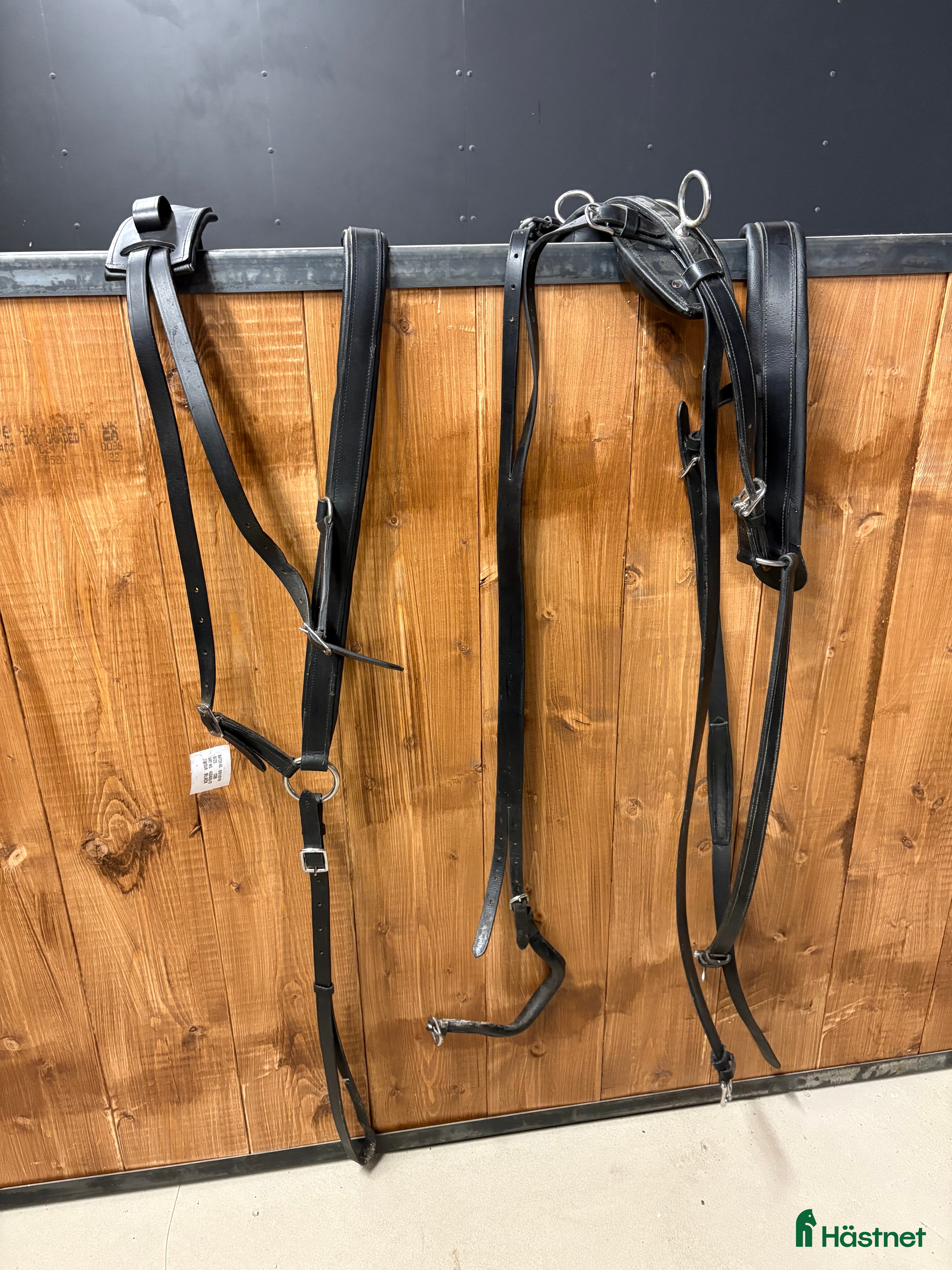 Körselar körning till salu: Bröstsele med baksele i Rörvik - Annons 14