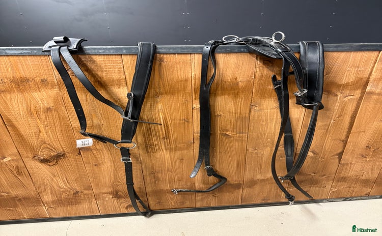 Körselar körning till salu: Bröstsele med baksele i Rörvik - Annons 18