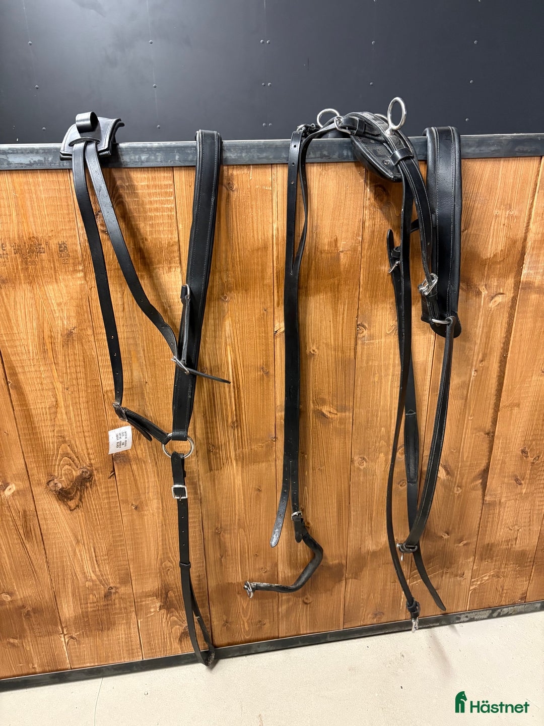 Körselar körning till salu: Bröstsele med baksele i Rörvik - Annons 1