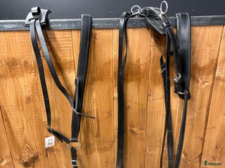 Körselar körning till salu: Bröstsele med baksele i Rörvik - Annons 5