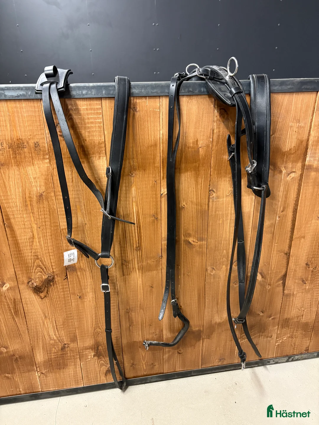 Körselar körning till salu: Bröstsele med baksele i Rörvik - Annons 1