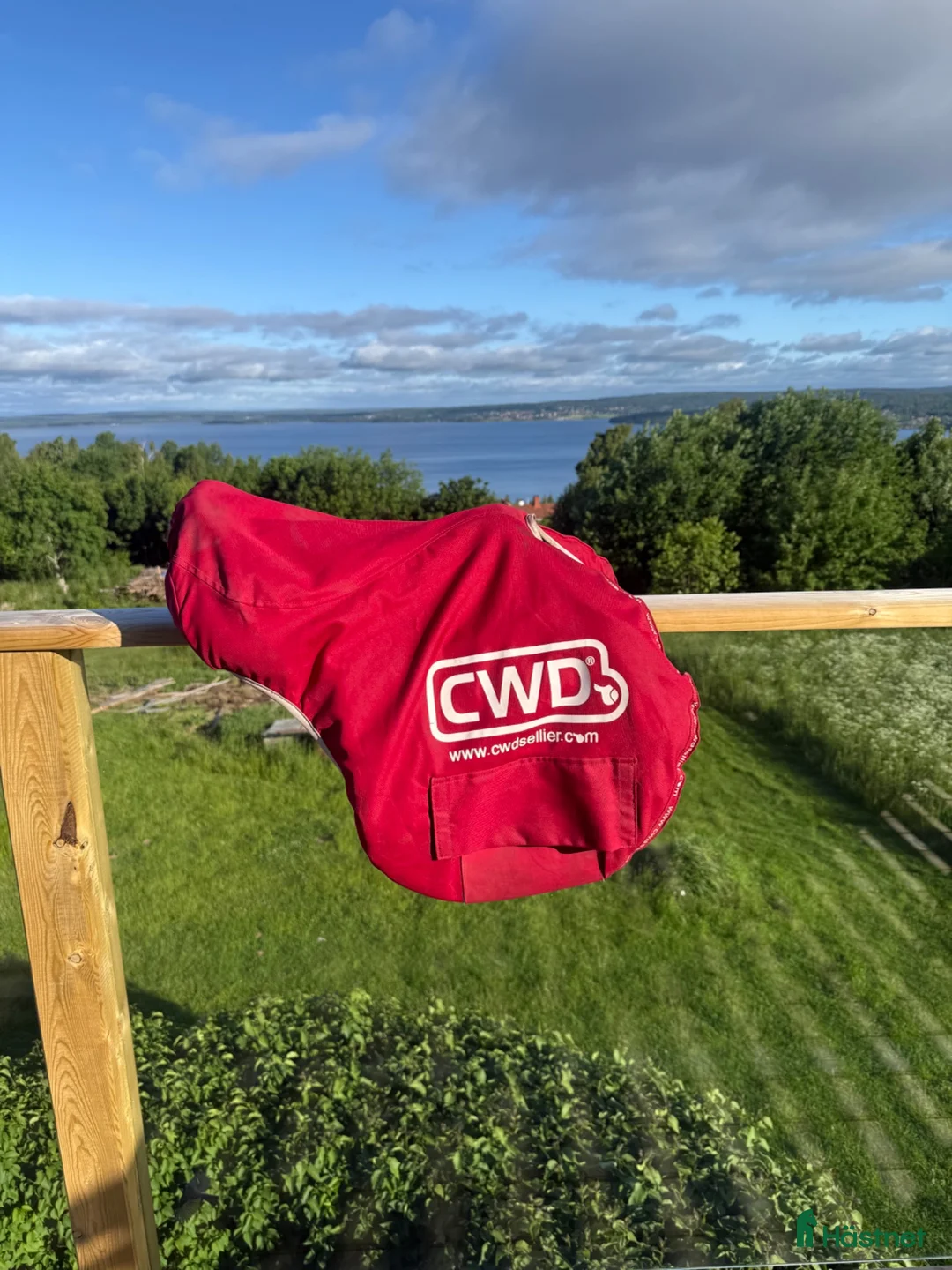 Sadlar hästutrustning till salu: CWD 2Gs - Annons 8