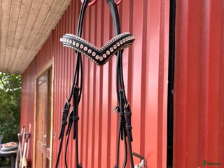 Träns hästutrustning till salu: Svart träns med Döbert pannband i Karlstad - Annons 4