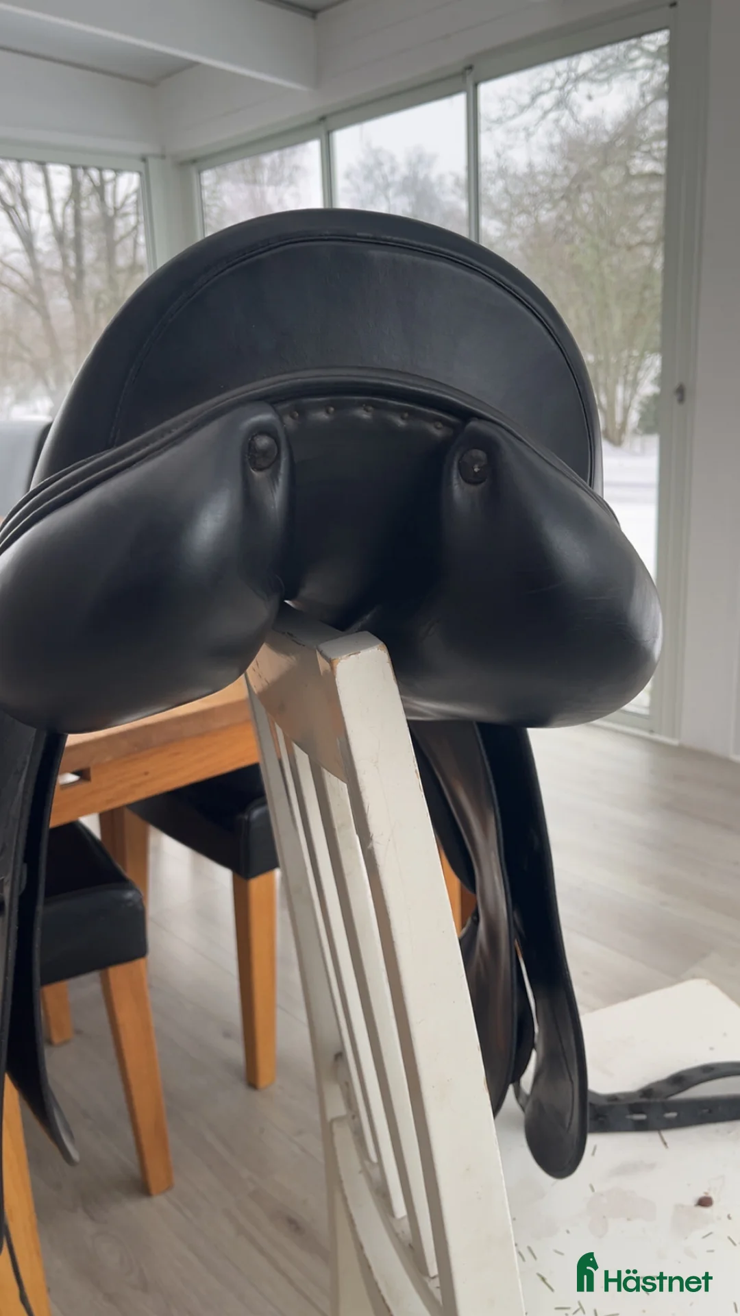 Sadlar hästutrustning till salu: Equipe olympia i Fagerhult - Annons 4