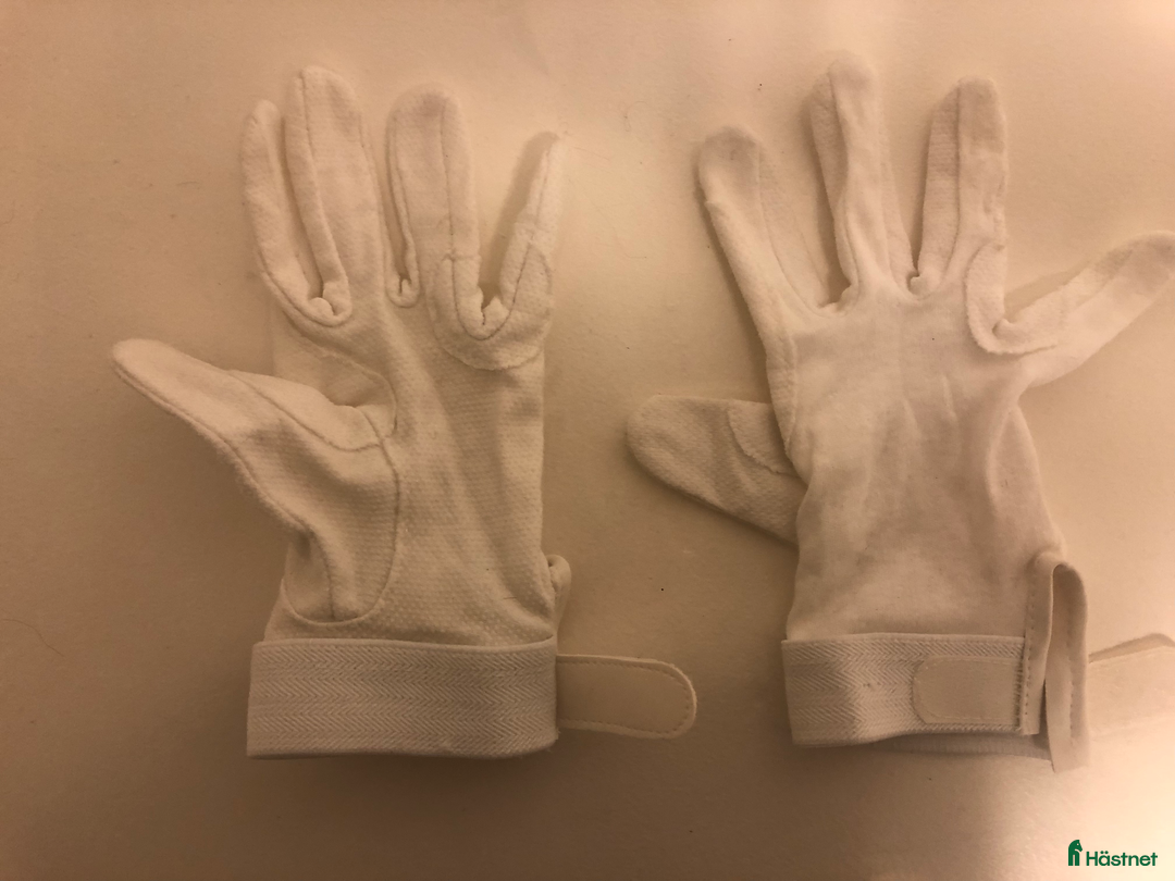 Övrig Ryttarutrustning ryttarutrustning till salu: Tävlingshandskar dressyr i Härryda - Annons 2