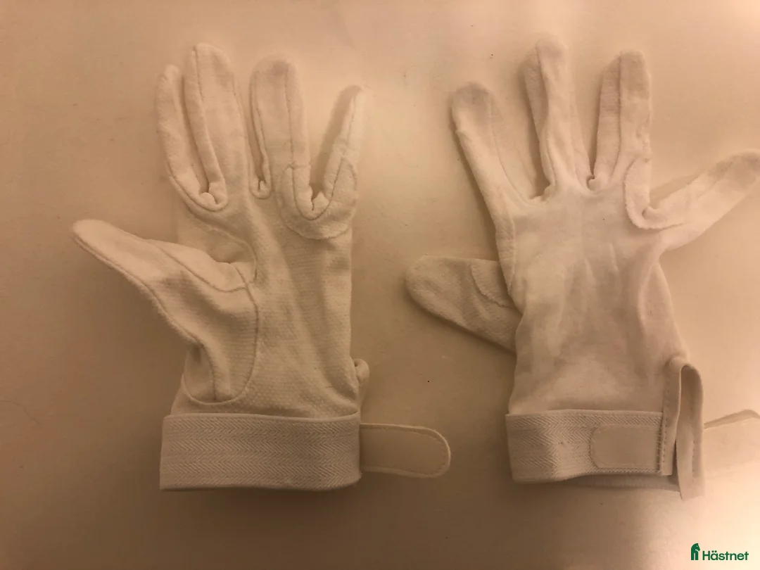 Övrig Ryttarutrustning ryttarutrustning till salu: Tävlingshandskar dressyr i Härryda - Annons 2