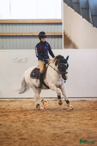 Galleribild {{count}}