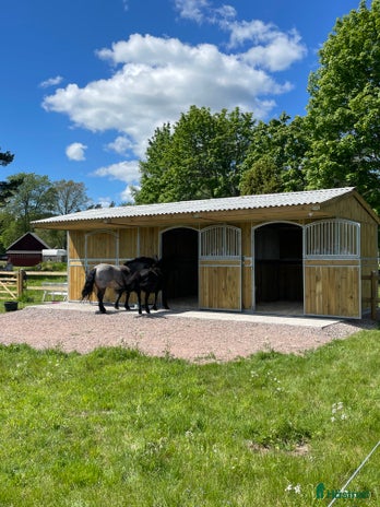 hästar i Tidaholm - Annons 11
