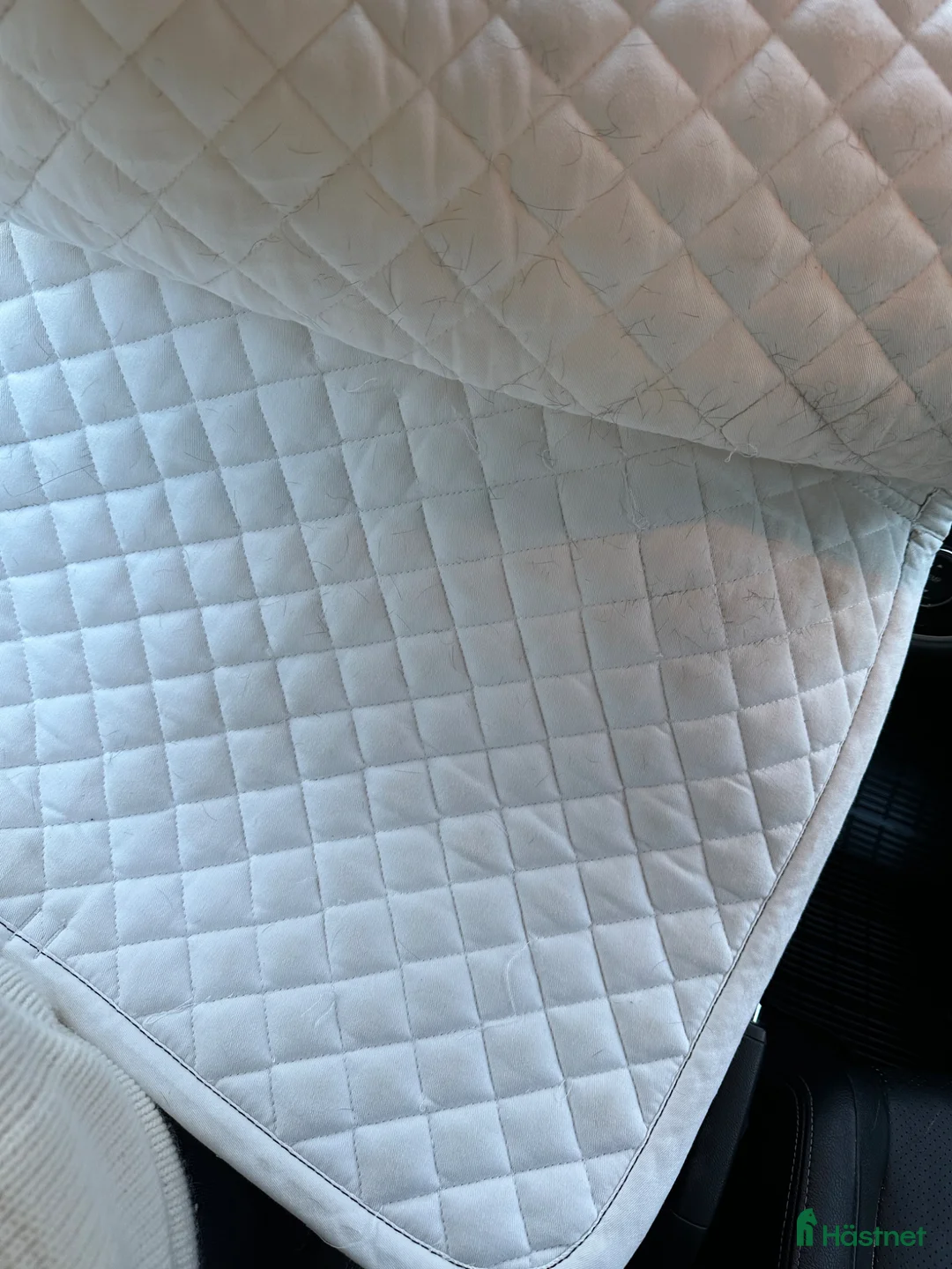 Schabrak & Vojlockar hästutrustning till salu: Glen Gordon schabrak - Annons 2