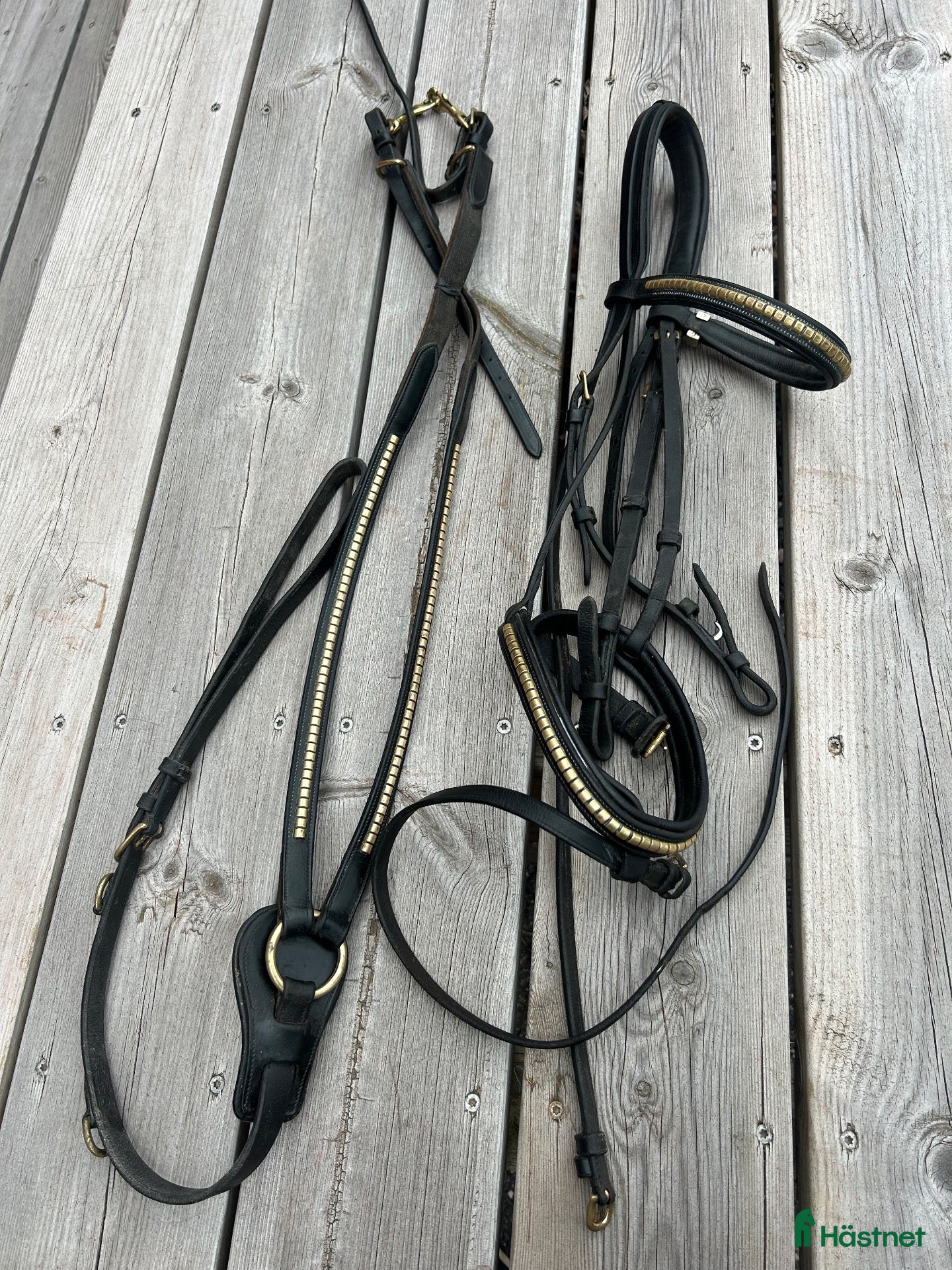 Träns hästutrustning Equipe Emporio  - Annons 1