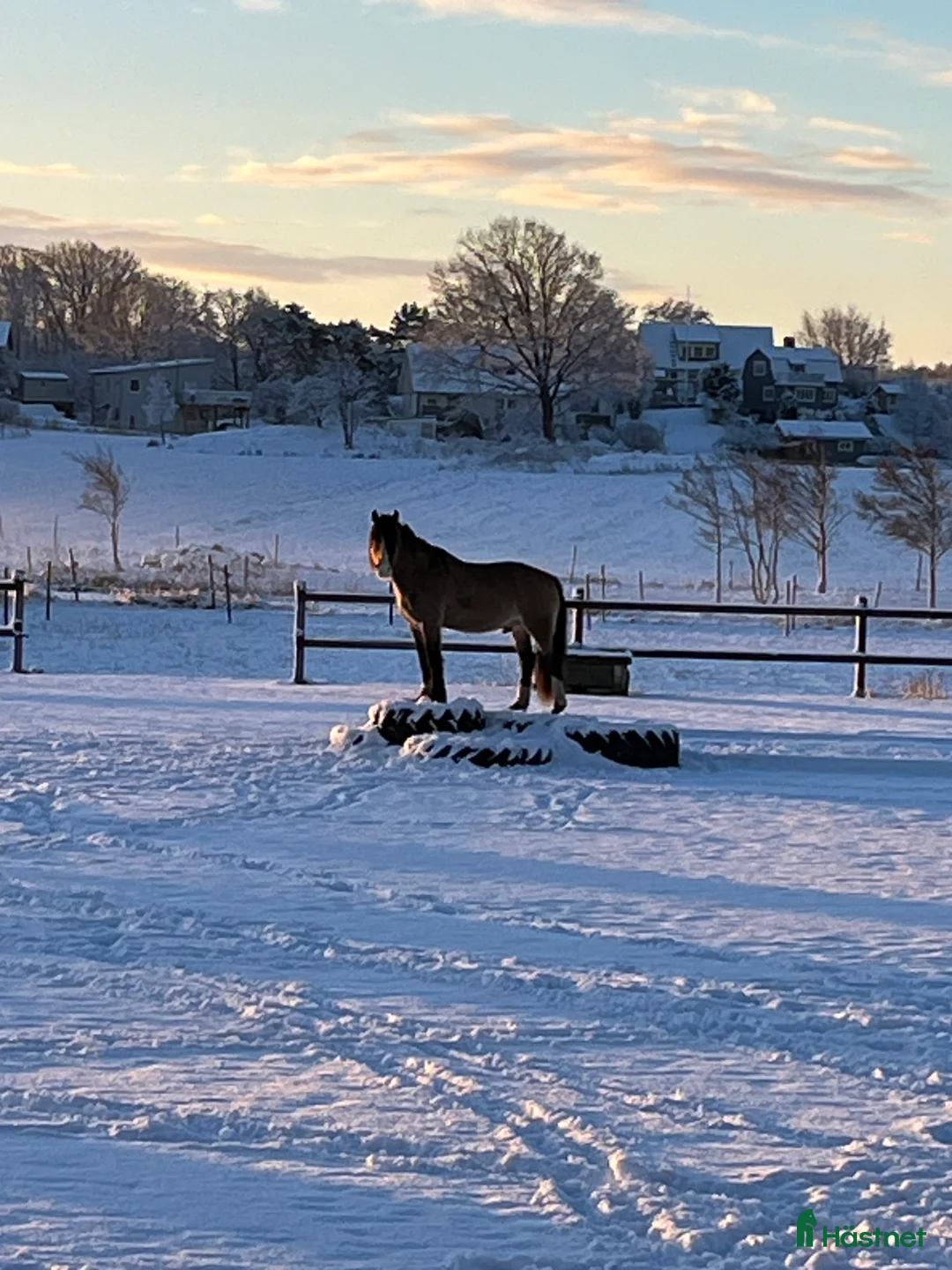  stallplats finnes: Lösdrift i Torslanda - Annons 2
