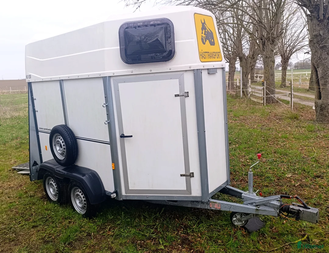 Hästtransporter  fordon & transport till salu: Fräsch transport 2020 - Annons 1