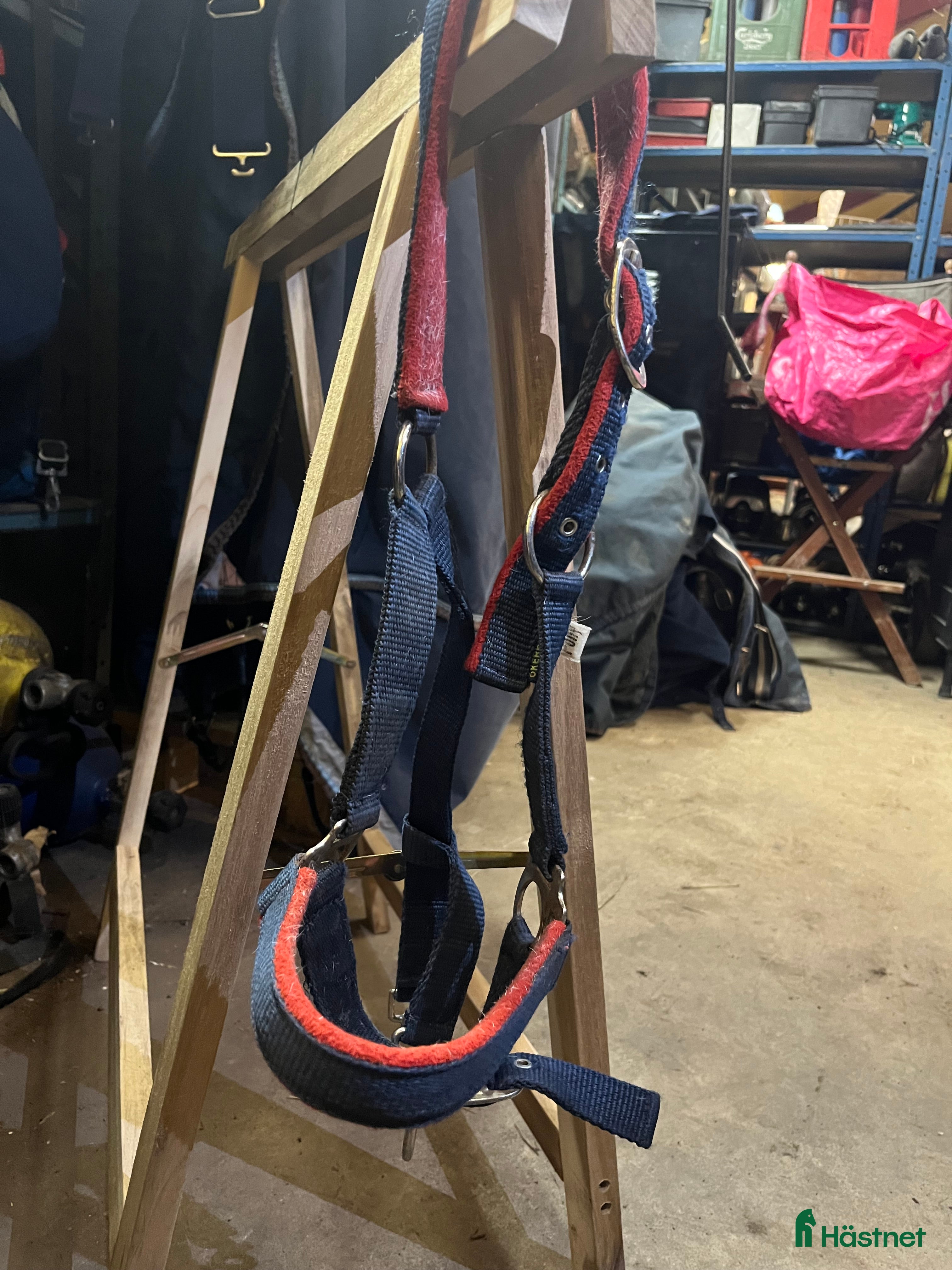 Övrig utrustning övrig utrustning till salu: Snygg grimma  i Norrköping - Annons 23