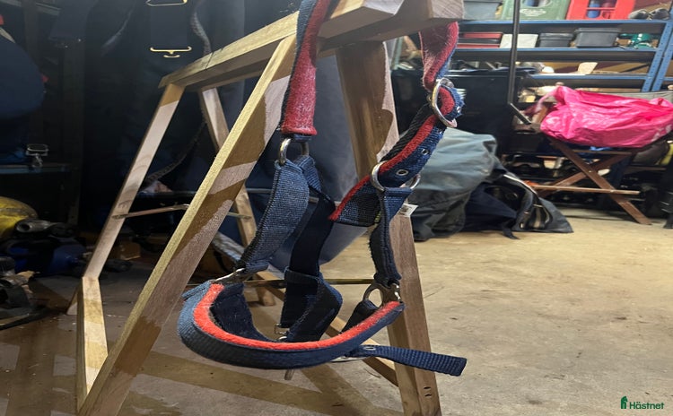 Övrig utrustning övrig utrustning till salu i Norrköping - Annons 17