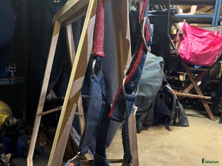 Övrig utrustning övrig utrustning till salu: Snygg grimma i Norrköping - Annons 21