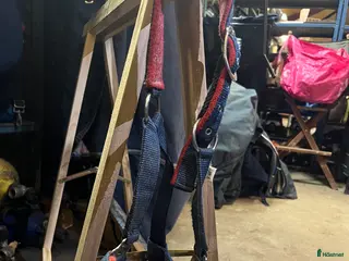 Övrig utrustning övrig utrustning till salu: Snygg grimma i Norrköping - Annons 9