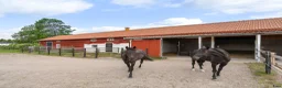  hästgårdar till salu: modern och komplett hästgård  i Gävle - Annons 12